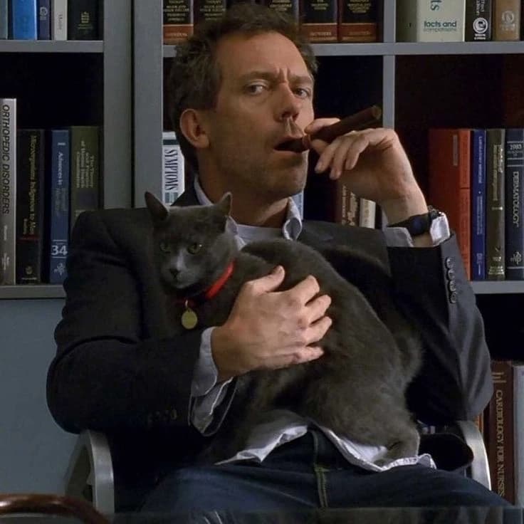 Dr Gregory House thumbnail
