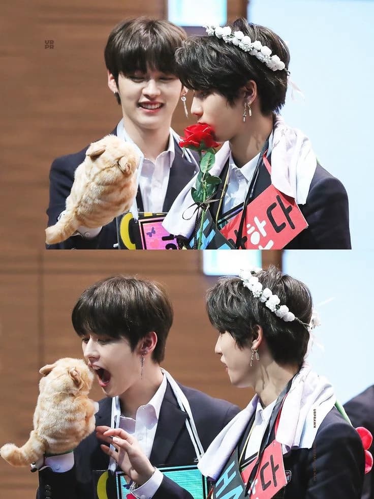 Minsung thumbnail