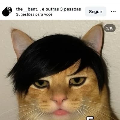 Edgar thumbnail