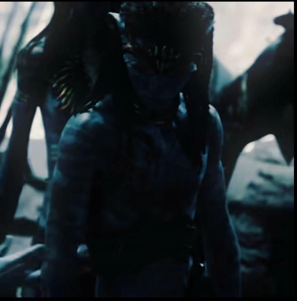 01-NETEYAM SULLY thumbnail
