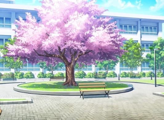 University thumbnail