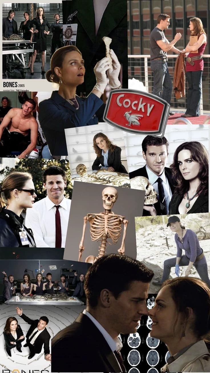 Bones thumbnail