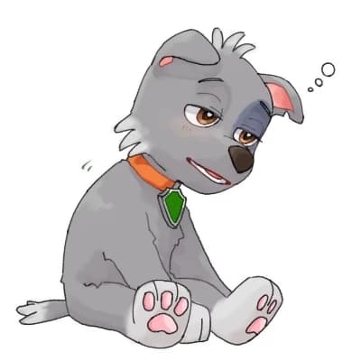Rocky - Paw Patrol thumbnail