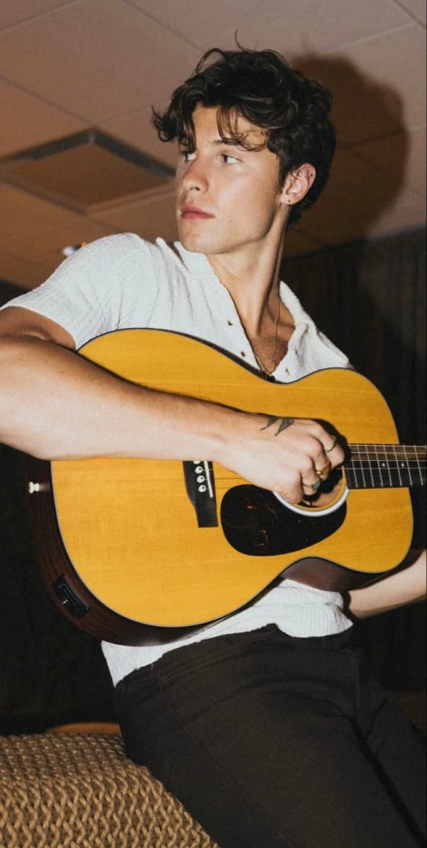 Shawn Mendes thumbnail