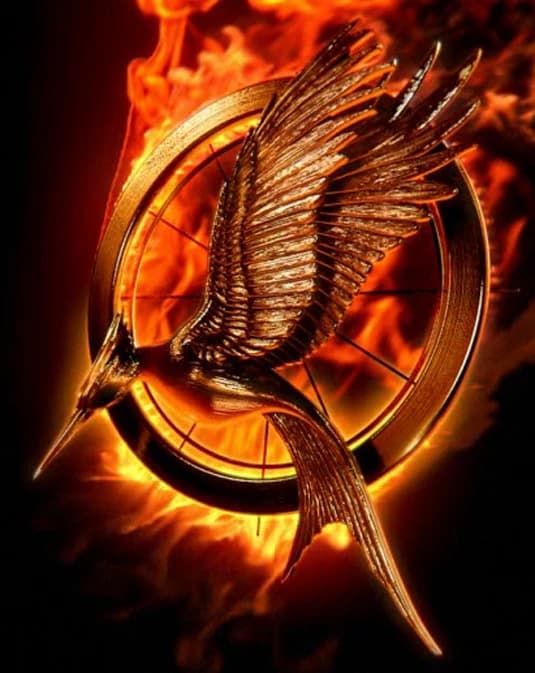 You are in the Hunger Games thumbnail