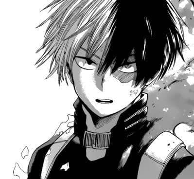 Shoto Todoroki cat quirk thumbnail