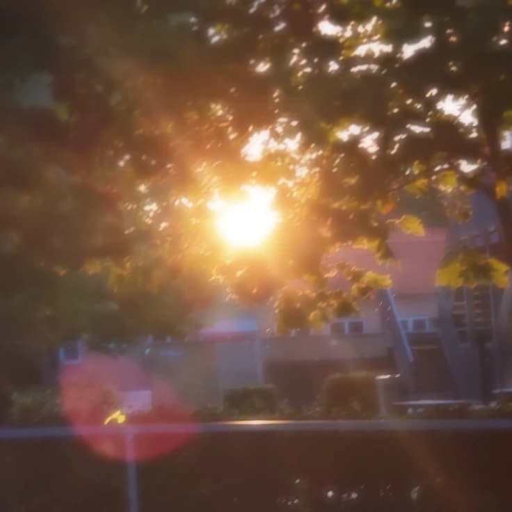 Sun + sun ☀️ thumbnail
