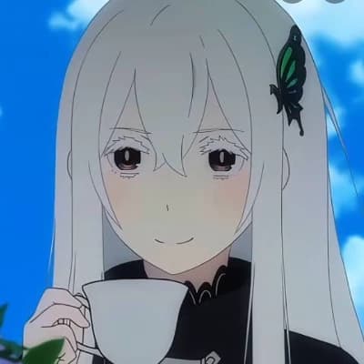 Echidna thumbnail