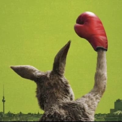 The kangaroo thumbnail