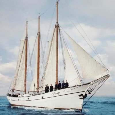 Bts arirang crew ship  thumbnail