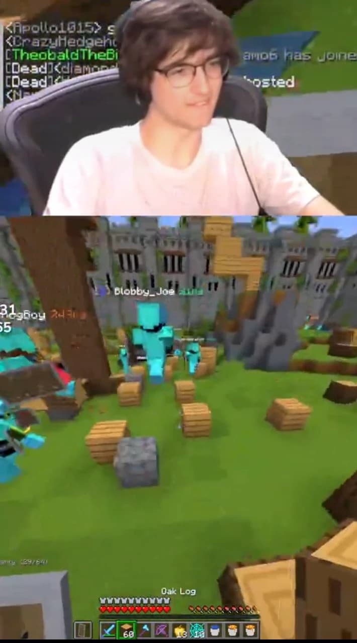 Theobaldthebird  thumbnail