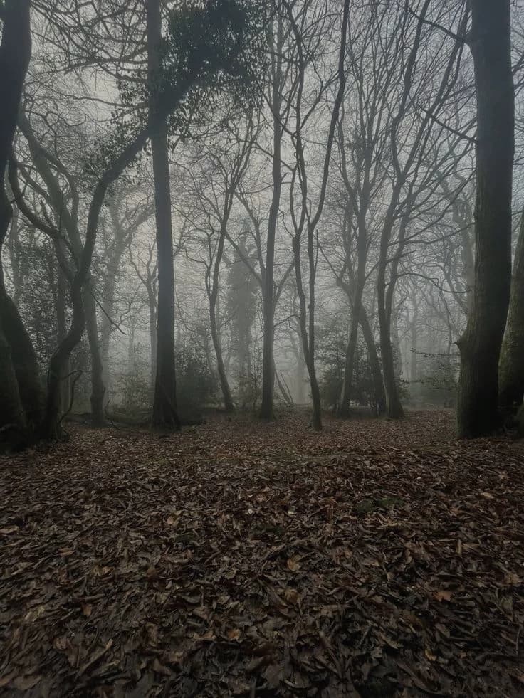 Cursed Forest thumbnail