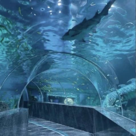 Aquarium thumbnail
