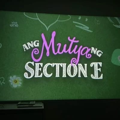 Section e thumbnail