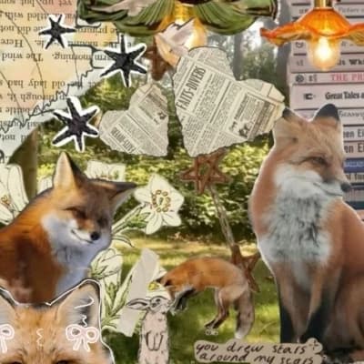 C!Fundy thumbnail