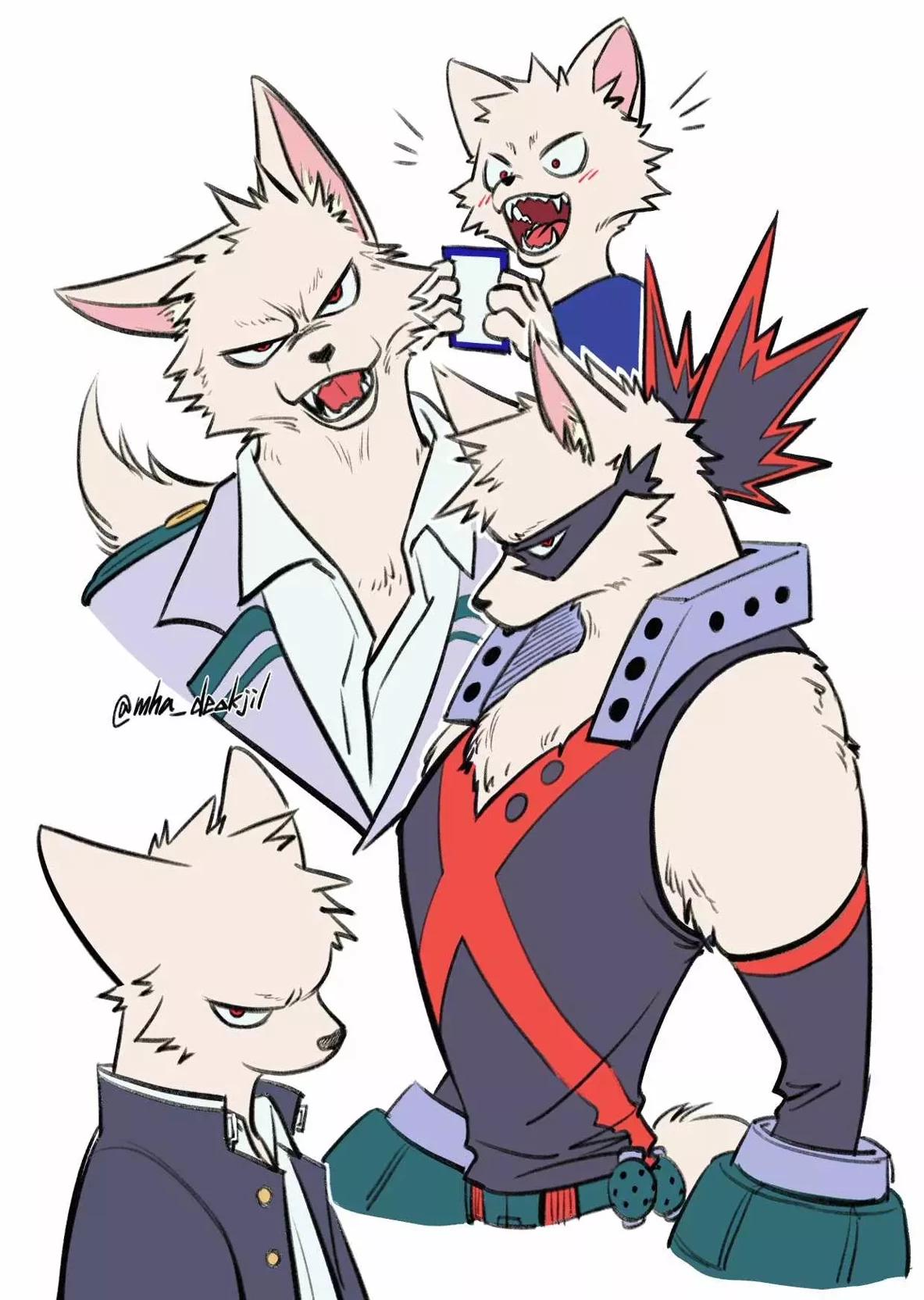 Katsuki  thumbnail