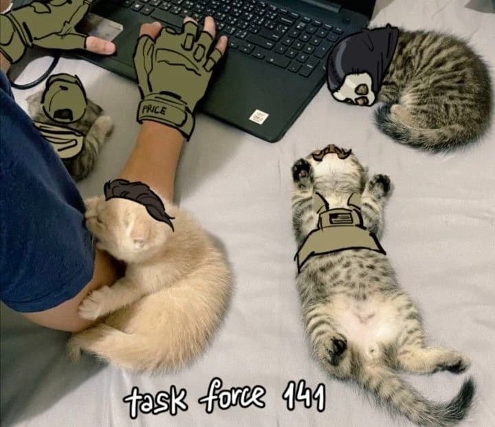 Tu boda/Task Forge 141 thumbnail