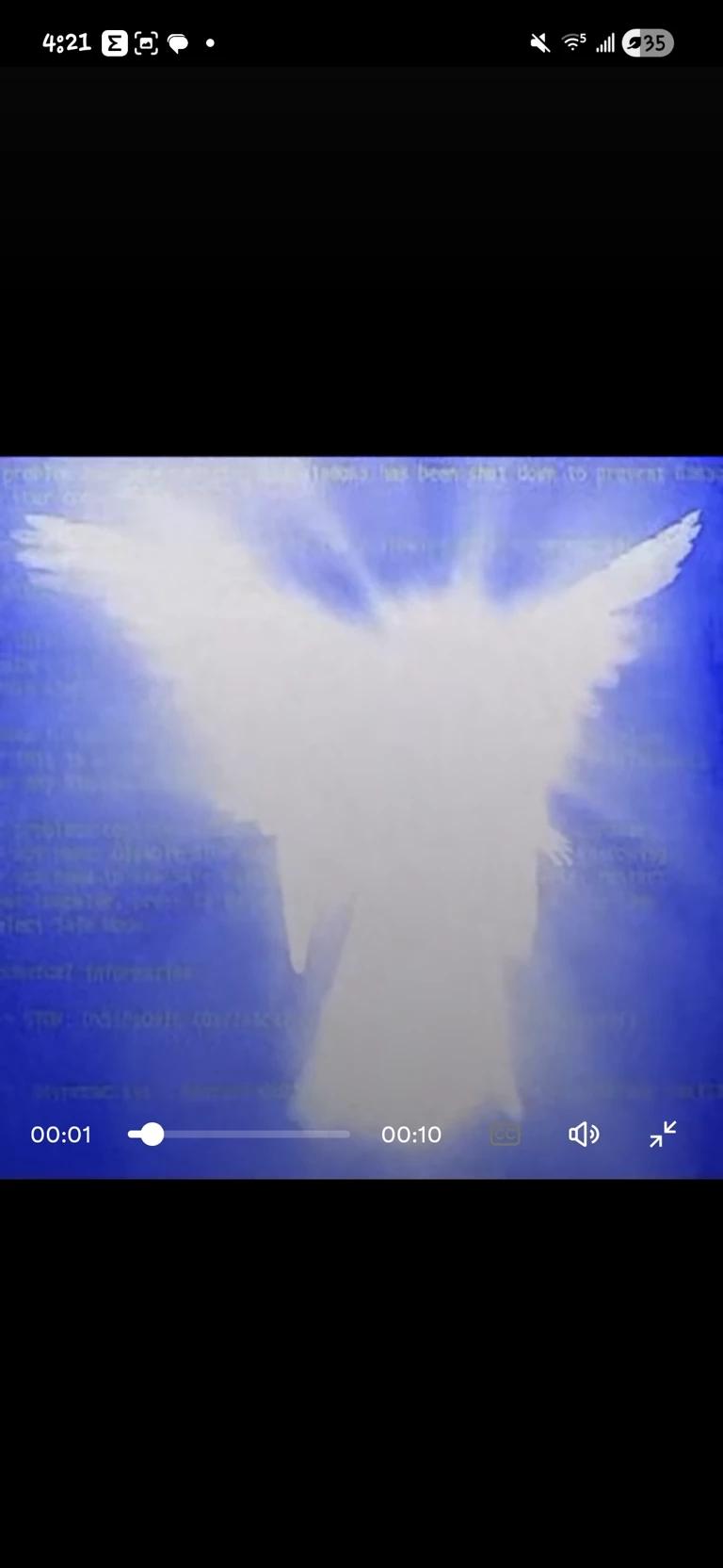 Digital angel thumbnail