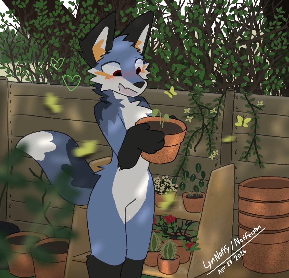Noa (furry) thumbnail