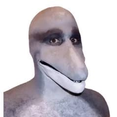 Bob the Dolphin  thumbnail