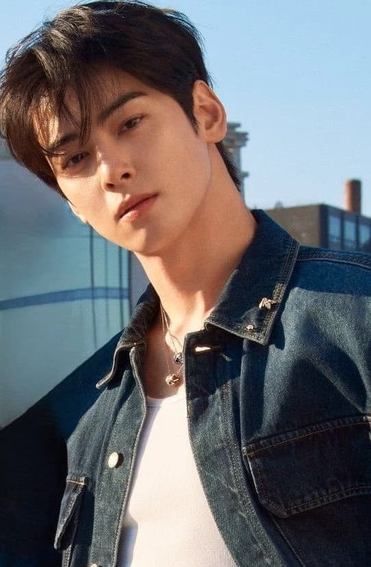 Cha eun woo  thumbnail