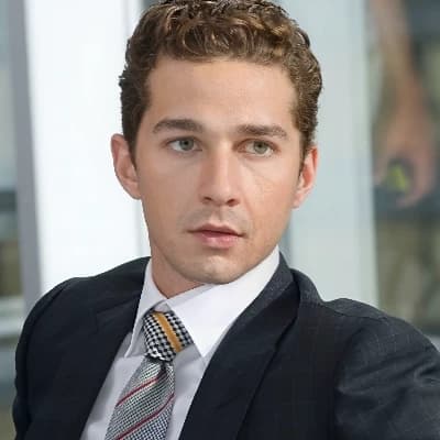 Sam Witwicky thumbnail