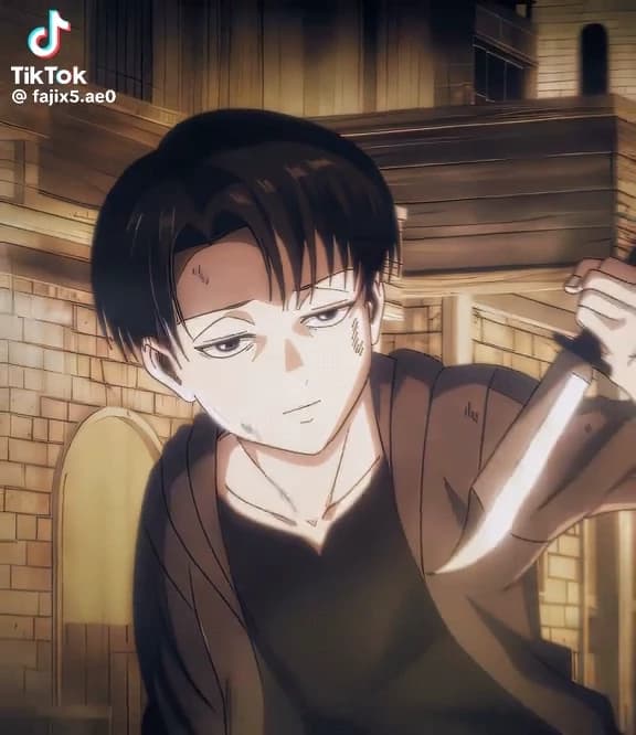 Levi Ackerman  thumbnail