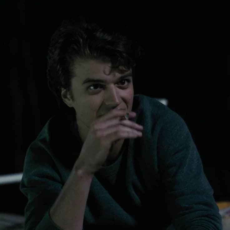 Steve Harrington thumbnail