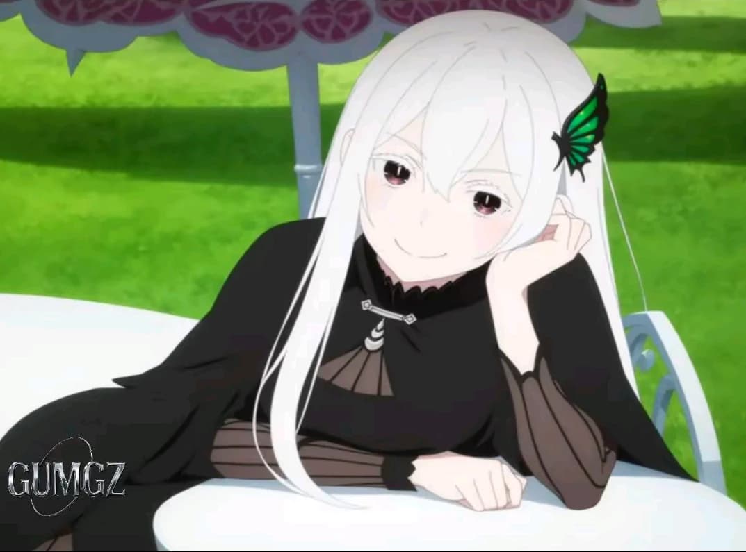 echidna thumbnail