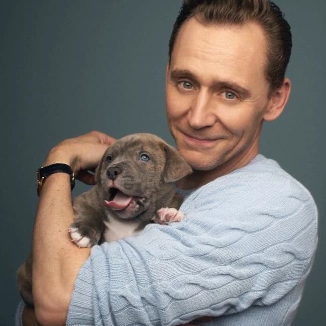 Tom Hiddleston thumbnail