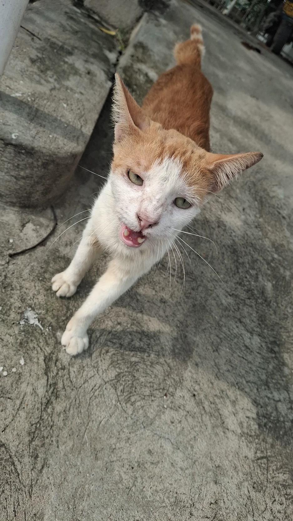 Ángel thumbnail
