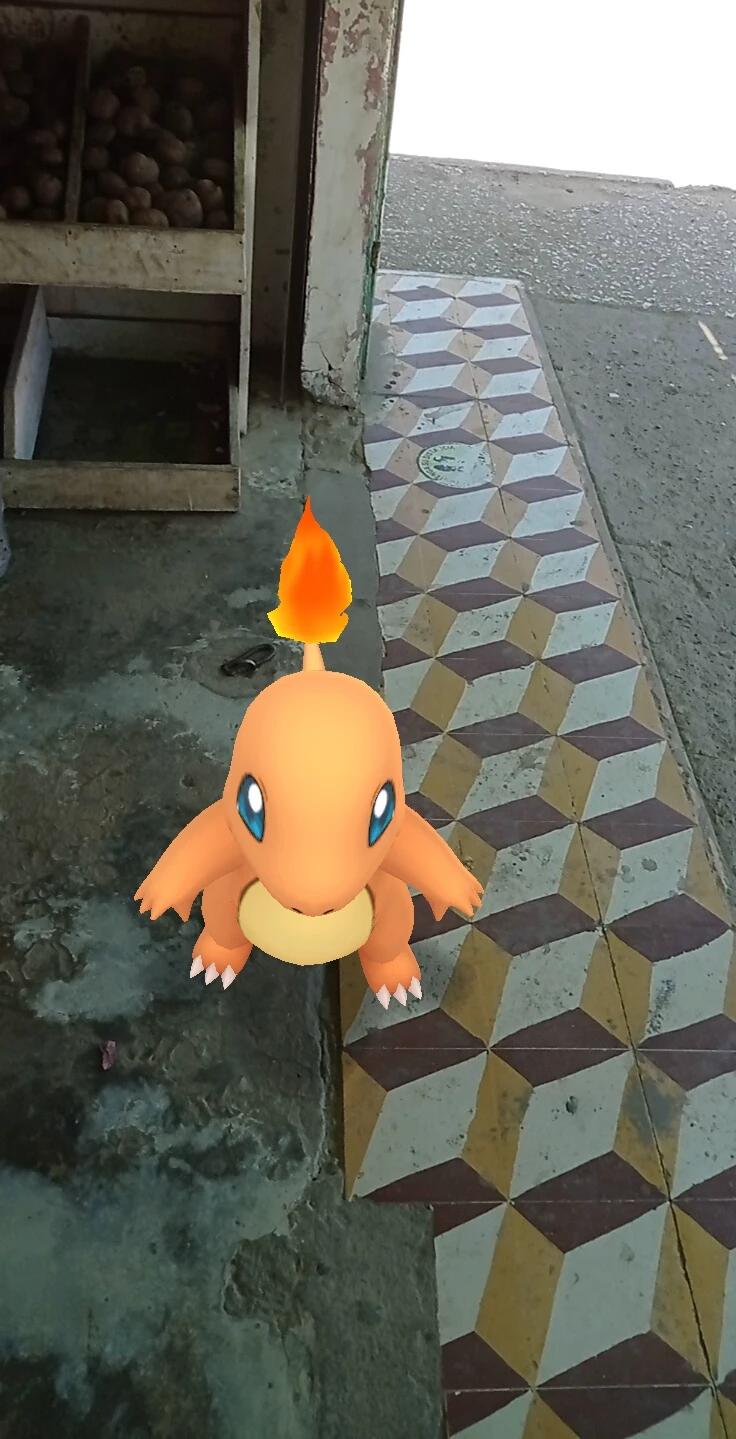 Charmander  thumbnail