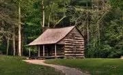 Cannibal Cabin thumbnail