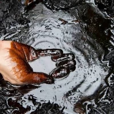 You found oil thumbnail