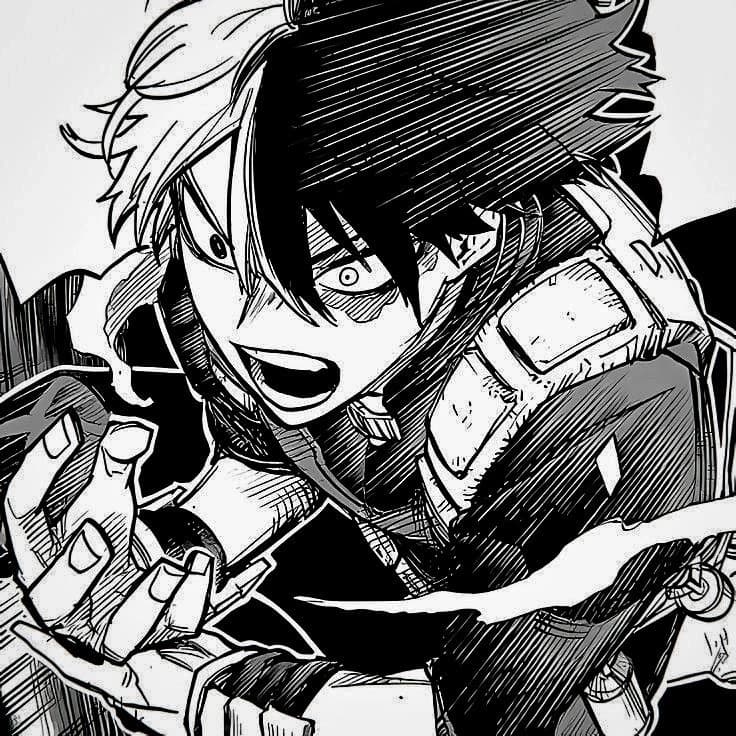 todoroki shoto thumbnail