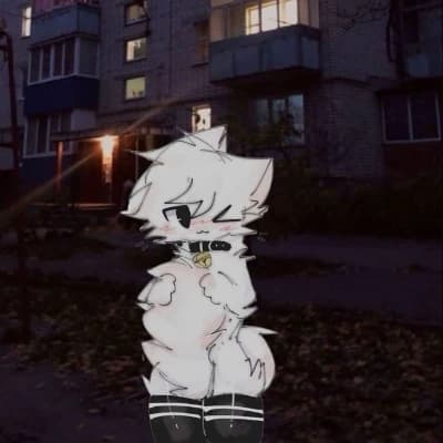 Homeless furry femboy  thumbnail