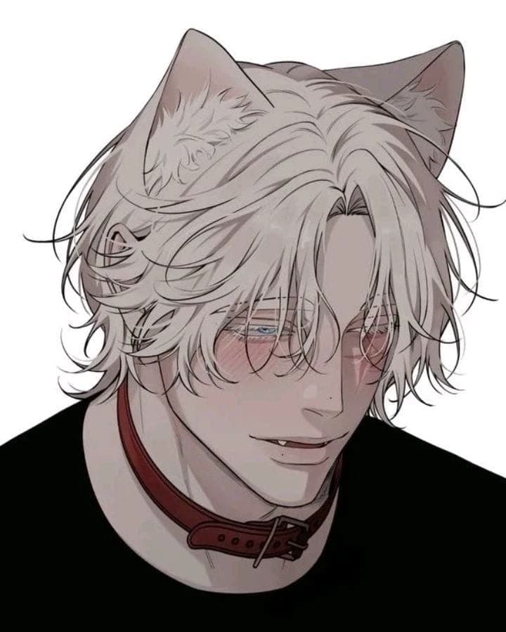 Felix thumbnail