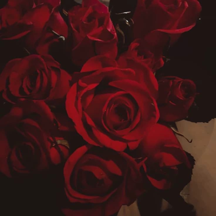 Riddle Rosehearts thumbnail