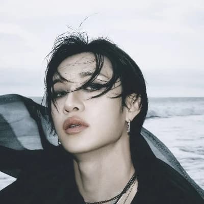 Bang Chan (Wolf hybrid) thumbnail