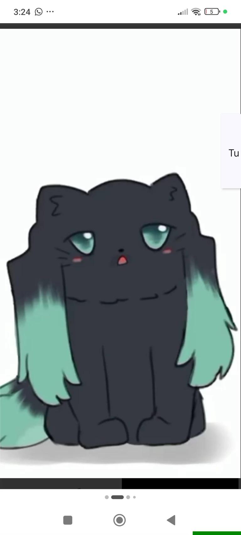 Tokito se convierte en gato y tú lo tendrás que cuidar :3 thumbnail