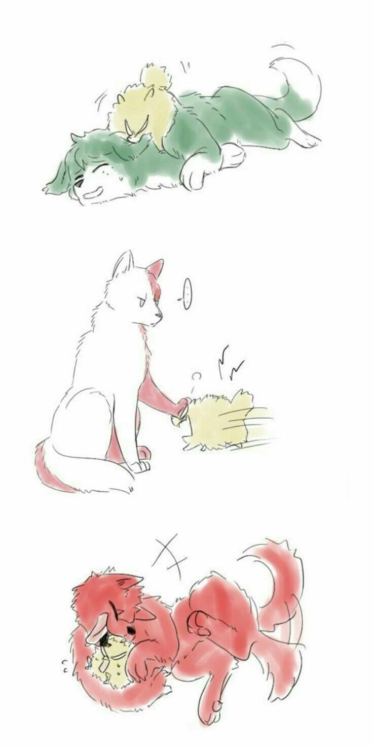 MHA perros thumbnail