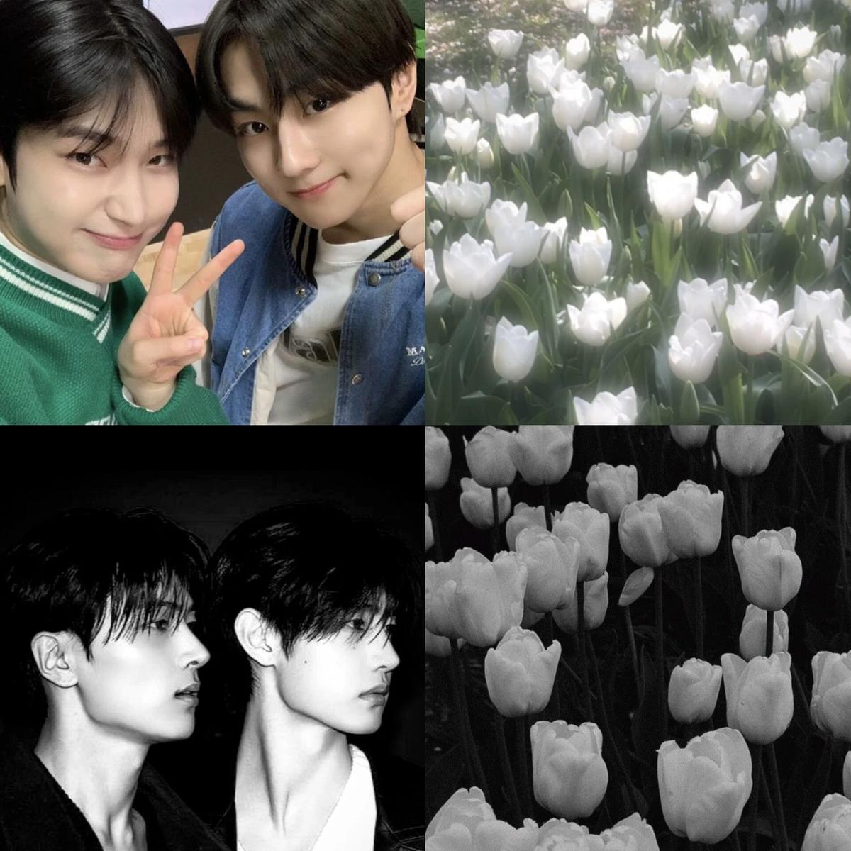 Sunsun, jaywon, bl. thumbnail