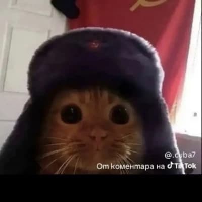Russia thumbnail