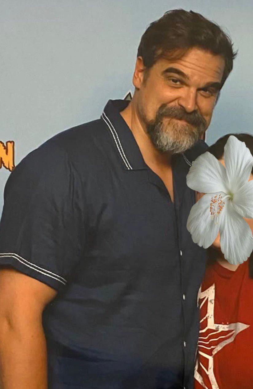 David Harbour thumbnail