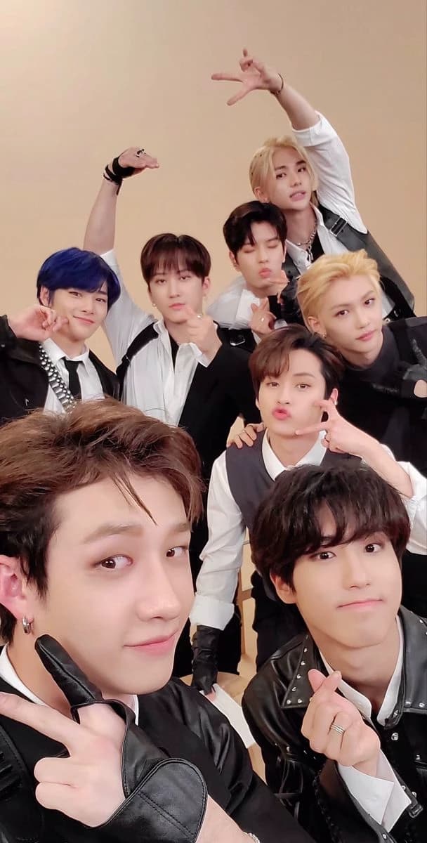 Stray kids 9th member  thumbnail