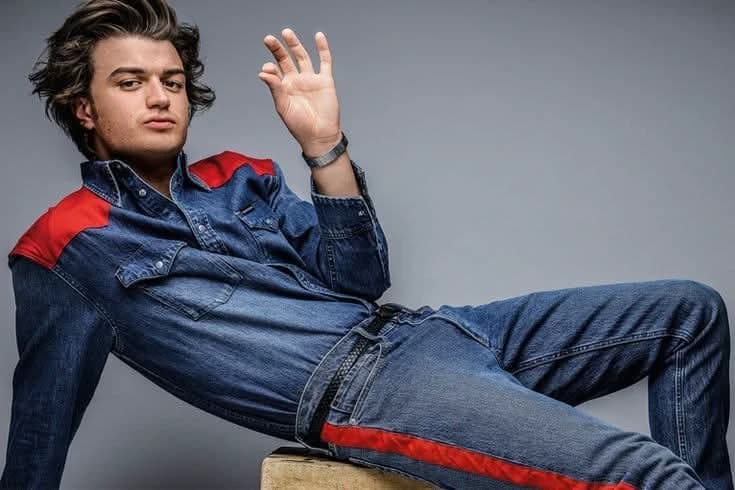 Steve Harrington thumbnail