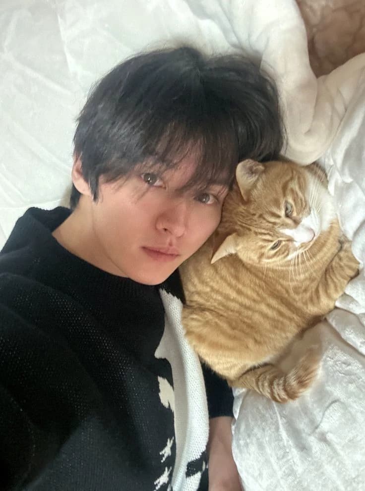 Lee Know thumbnail