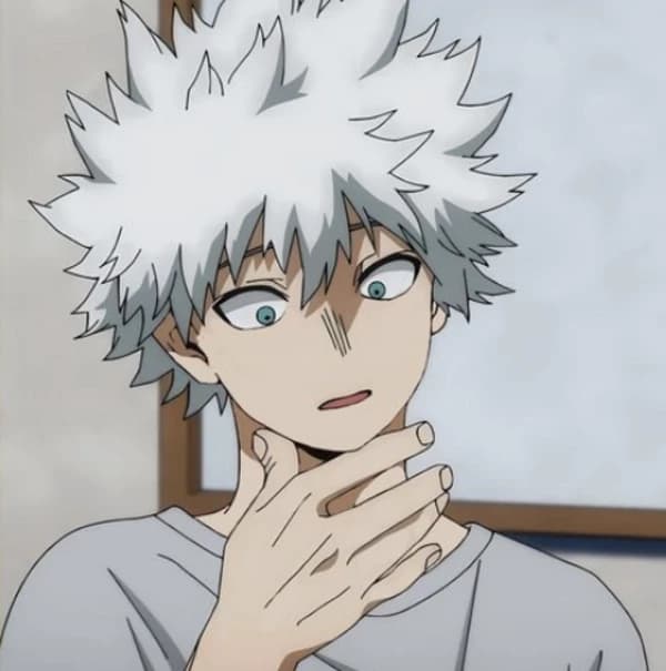 Touya Todoroki  thumbnail