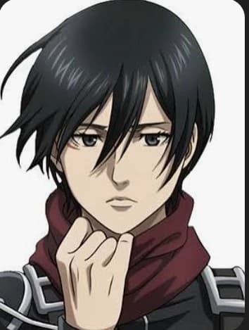 Mikasa  thumbnail