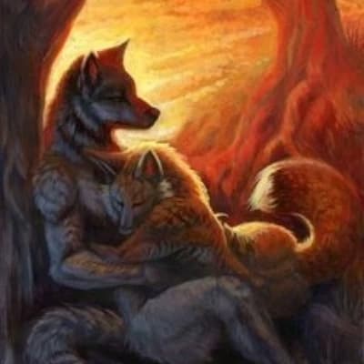 Wolf and fox 🐺🦊 thumbnail